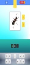 Animals Quiz Game In World Image