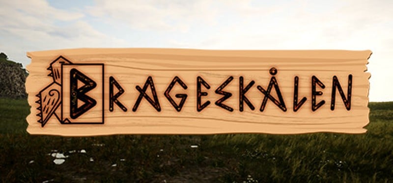 Brageskålen Game Cover