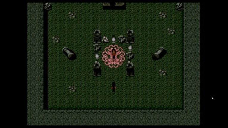Chosen screenshot
