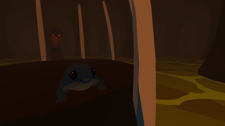 Focus Froggy Image