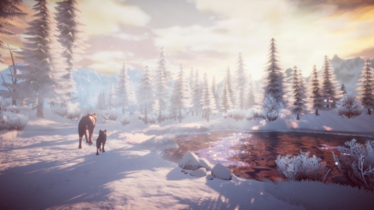 Follow My Steps screenshot