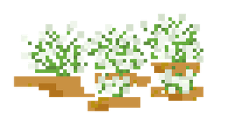 Herança das Pétalas Image