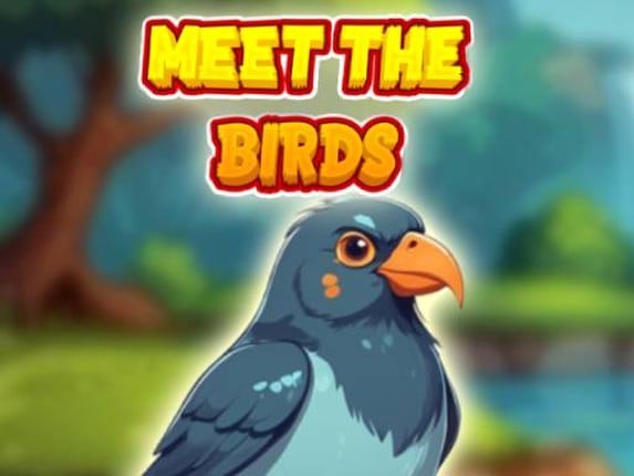 Meet The Birds Game Cover