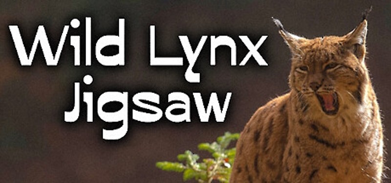 Wild Lynx Jigsaw Game Cover