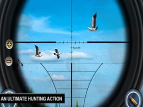 Bird Shooting Adventure Image