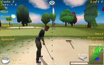 Birdie Golf Image