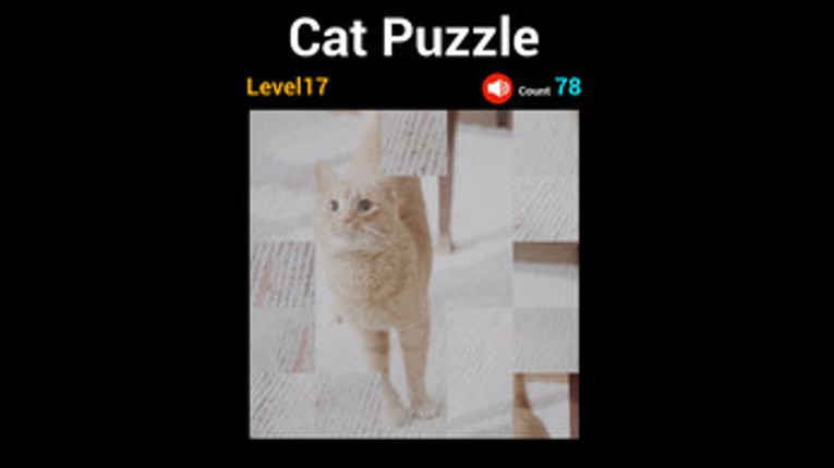 Cat Puzzle Image