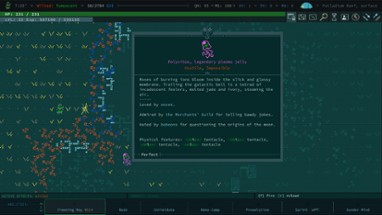 Caves of Qud Image