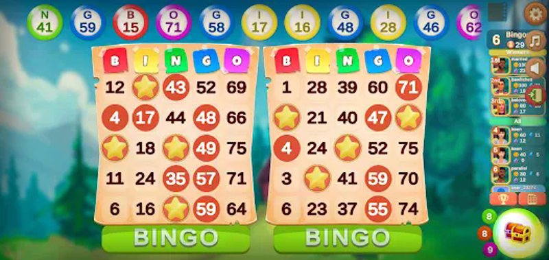 Bingo: Love in Montana screenshot