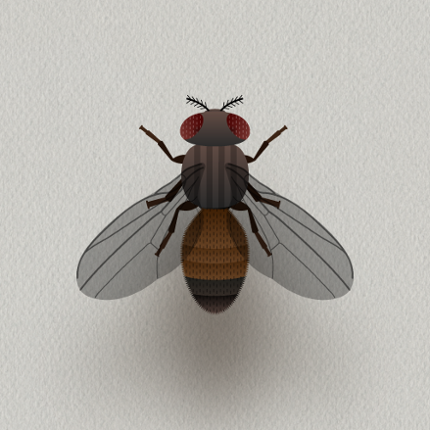 CAT ALONE - Cat Toy Image