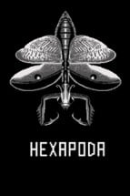 Hexapoda Image