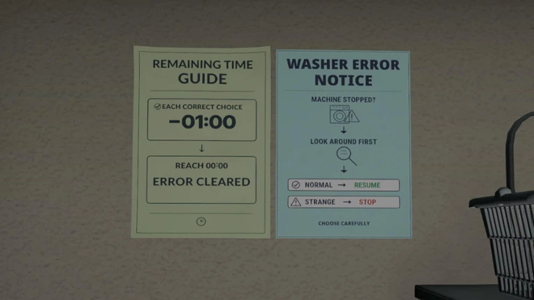 Laundromat Anomaly Image