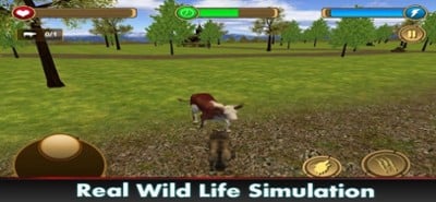 Wolf Life Attack 3D Image