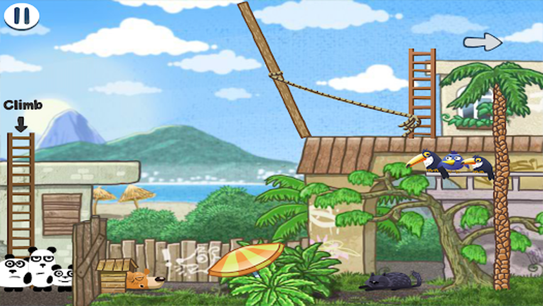 3 Pandas in Brazil Image