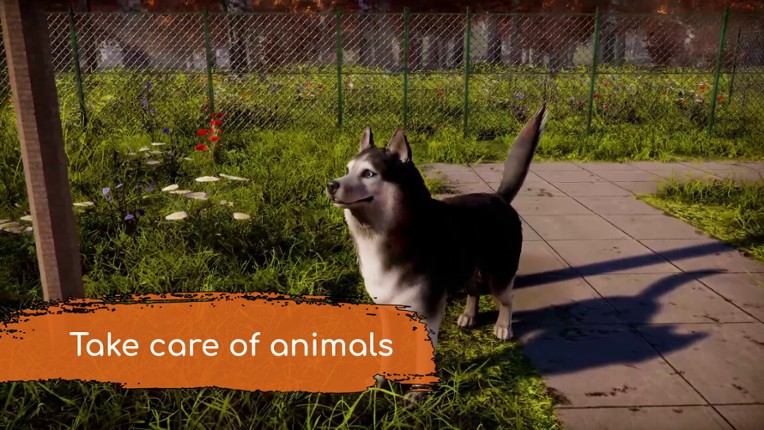 Animal Shelter 2 screenshot