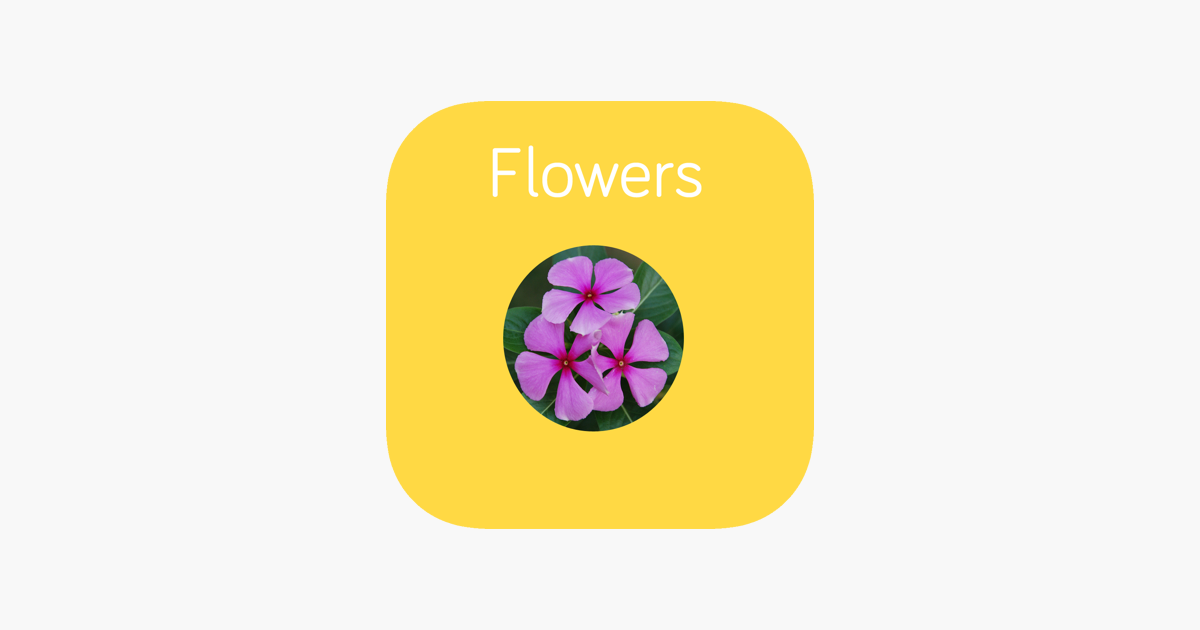 Games like Flowers Flashcard for babies and preschool