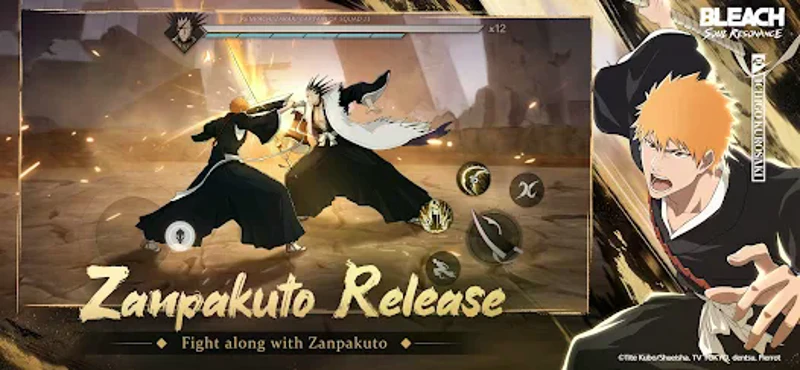 BLEACH: Soul Resonance Image