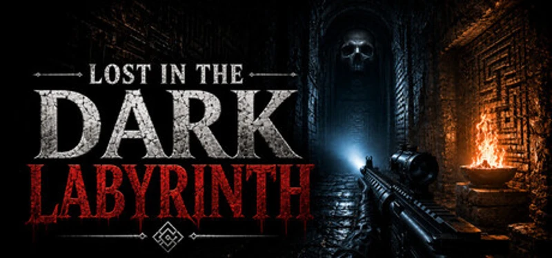LOST IN THE DARK LABYRINTH Image