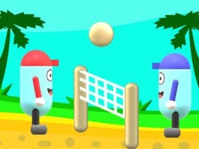 Beach Volleyball Image