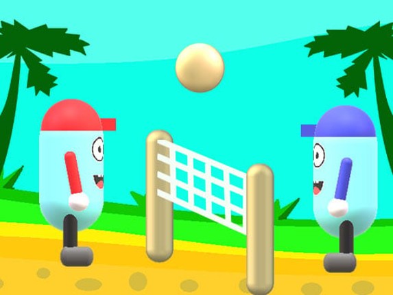 Beach Volleyball Game Cover