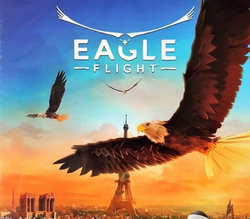 Eagle Flight Image