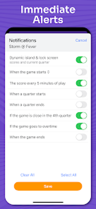 Superfan: WNBA Basketball Image