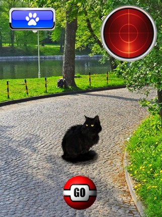Pocket Cats GO screenshot