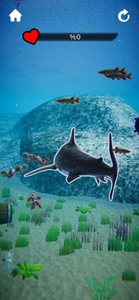 Shark Revenge screenshot