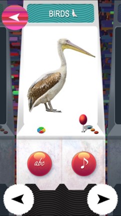 TOY - ZOO Animals And Birds Flash Cards - Free PreSchool Educational Learning Games For Toddlers And Kindergarten Babies screenshot