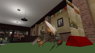 Fly Simulator Image