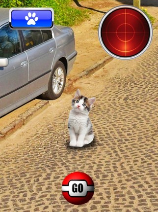 Pocket Cats GO screenshot