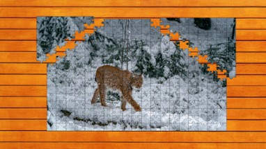 Wild Lynx Jigsaw Image