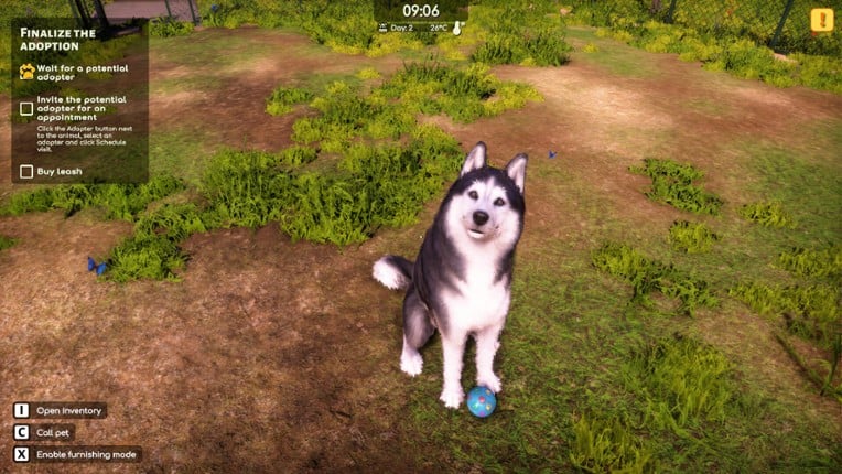Animal Shelter 2 screenshot
