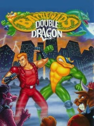 Battletoads / Double Dragon Game Cover