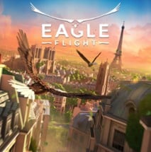 Eagle Flight Image