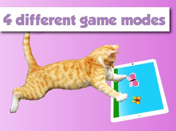 HappyCats games for Cats Image