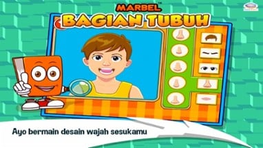 Marbel Bagian Tubuh Image