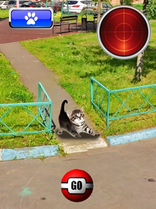 Pocket Cats GO screenshot