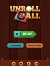 Unroll Ball Slide Puzzle Image