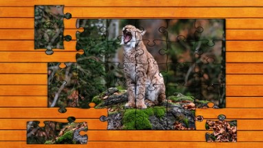 Wild Lynx Jigsaw Image