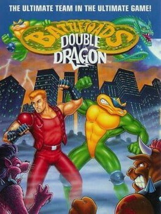 Battletoads & Double Dragon Image