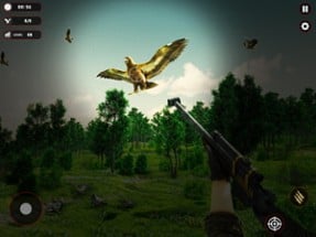 Birds of Prey: Wild Wings Hunt Image