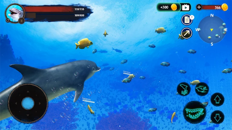 The Dolphin Image