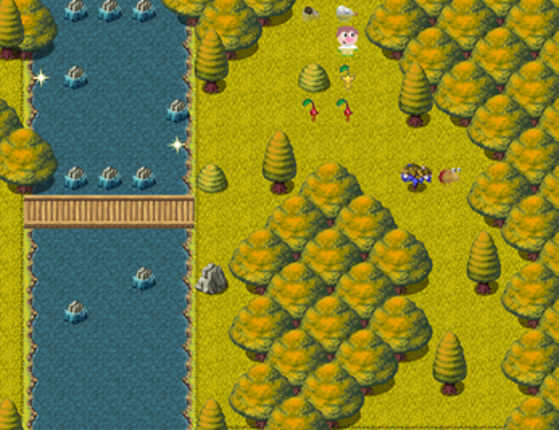 How to install Dolphin Emulator Image