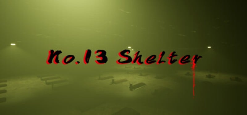 No13Shelter Game Cover