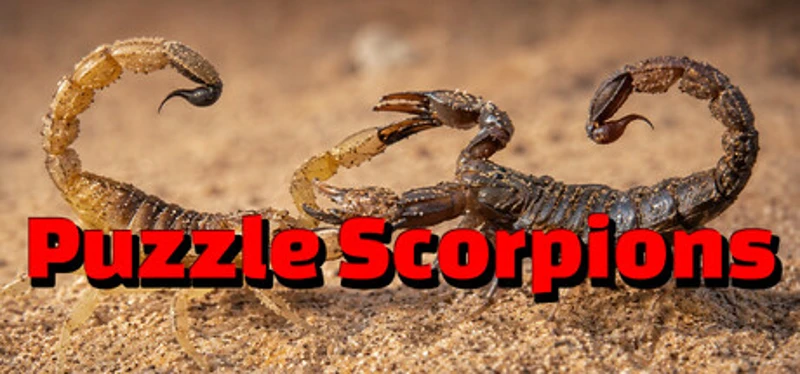 Puzzle Scorpions Image
