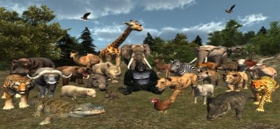 VR Zoo Safari Image