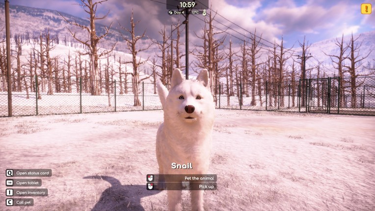 Animal Shelter 2 screenshot