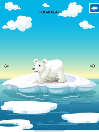 Animals Flashcards &amp; Puzzles screenshot