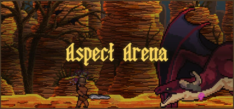 Aspect Arena Image
